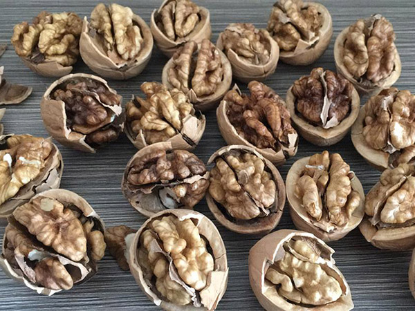 33 Walnut Inshell Manufacturer