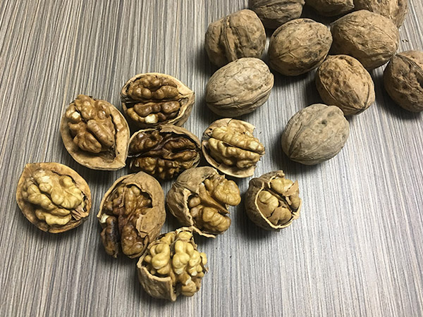 XingFu Walnut Inshell For Sale