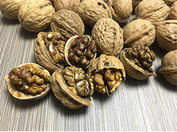 Walnuts – A Lifesaver For Vegans