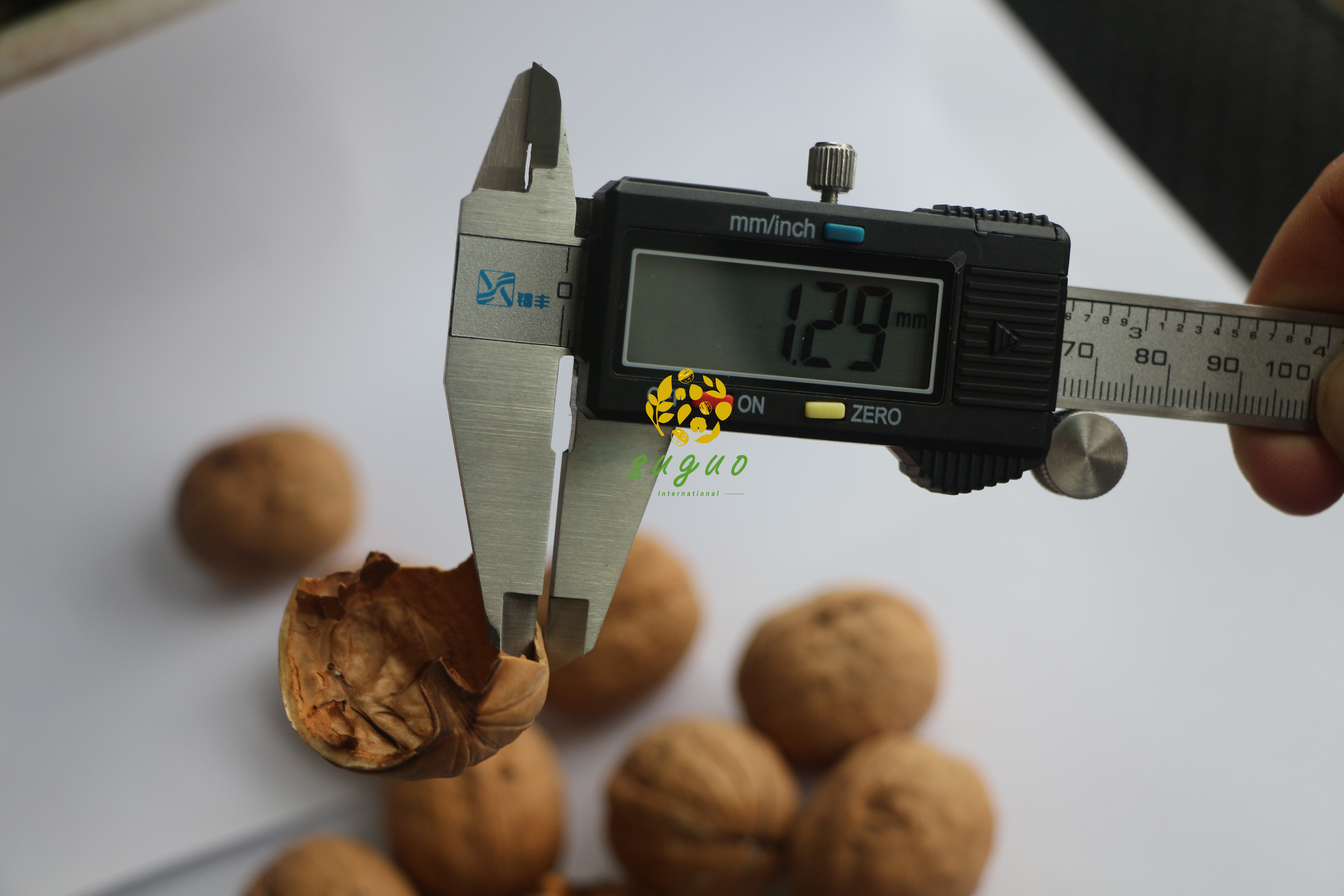 核桃果新二原色32mm+(02)