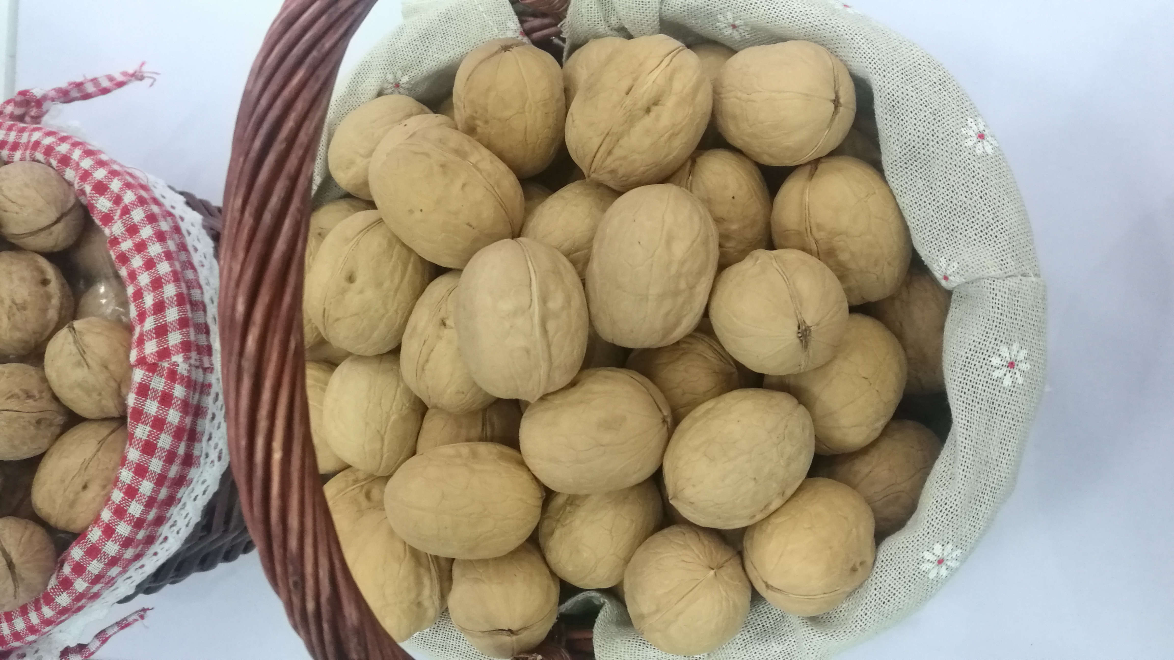 IMG_20180830_082448(1)