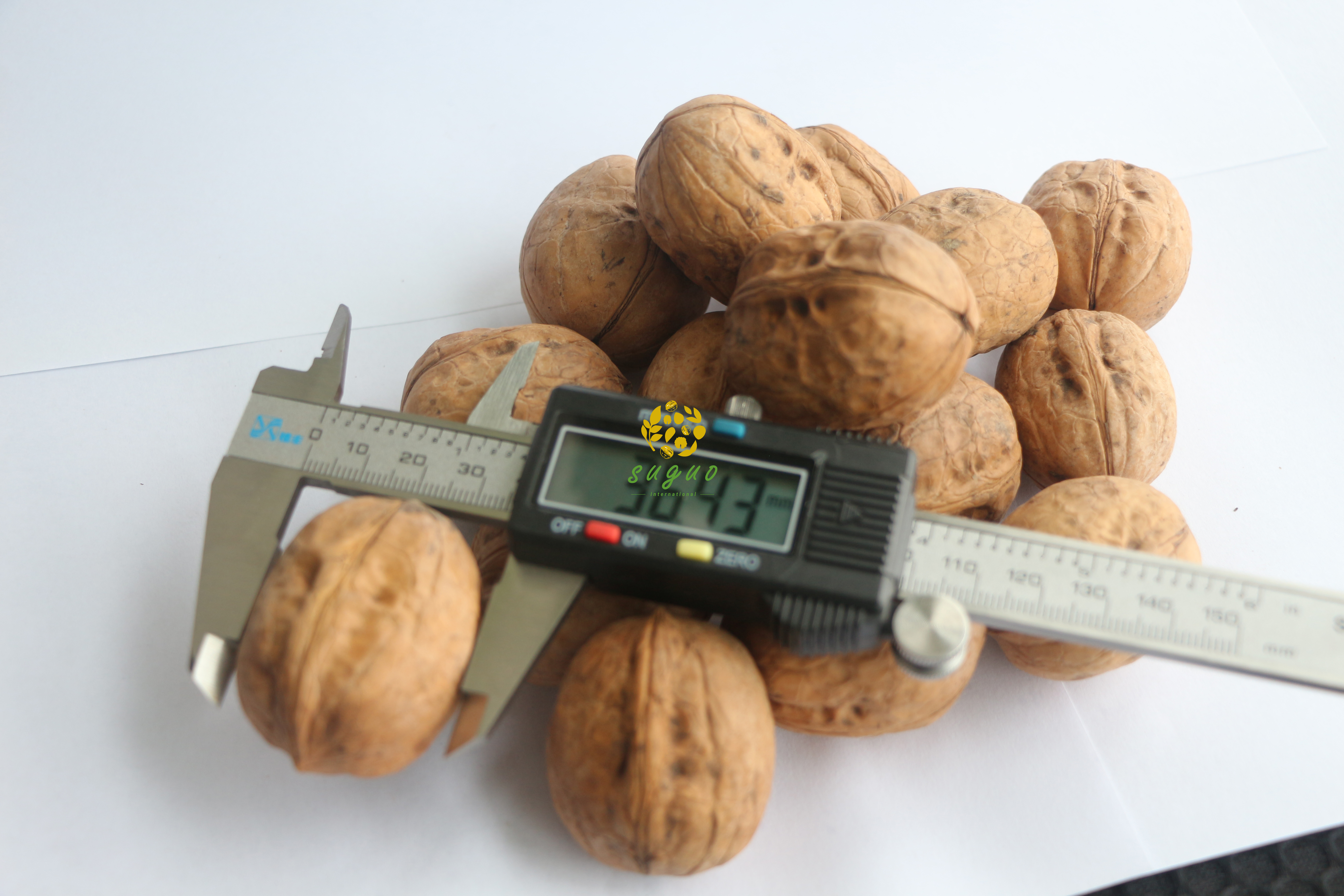 核桃果新二原色32mm+(01)