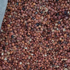 Suan Zao Ren/Sour Jujube Seed/Sour Jujube Kernel/Spina Date Seed