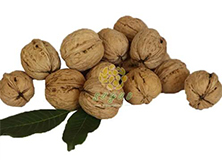 Which is Better: Walnut with Shell or Without Shell?