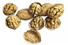 What are the functions of Walnuts?