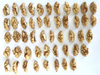 Skinless Walnut Kernels in Quarters 1/4