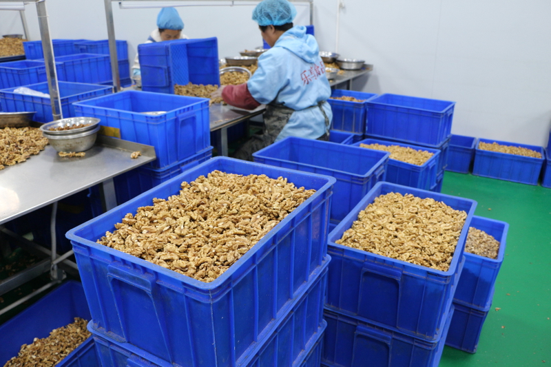 Walnut Kernels Buy Product on Suguo International