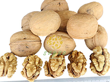 The Humble Walnut Has a Gilded History